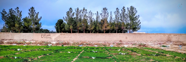 ‌رضا حصاری‌'s header picture