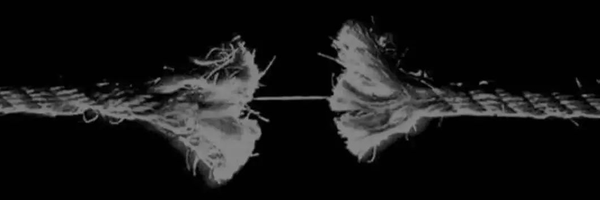 ‌Ho3ein‌'s header picture