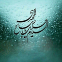 Profile picture of ‌Hatef Mohammadipour‌