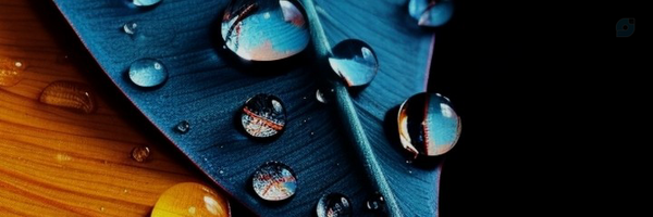 ‌حساب کاربری پرورش صدا و بیان Ali Mohammadian‌'s header picture