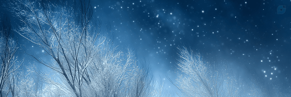‌fatemeh moallapour‌'s header picture