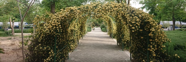 ‌ع دادخواه‌'s header picture