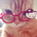 Profile picture of ‌Ypk‌