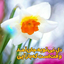Profile picture of ‌نیره اختری‌