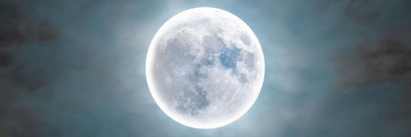 ‌عَلــــیِ‌'s header picture