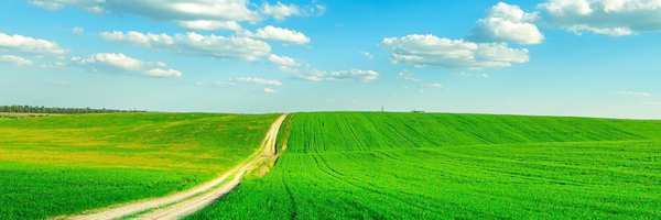 ‌نیما جبرائیلی‌'s header picture