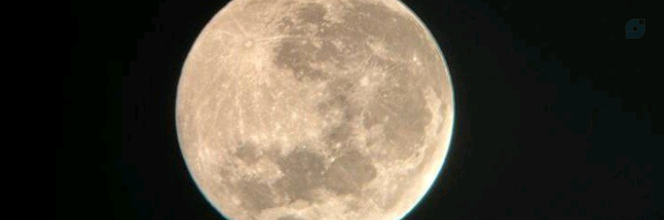 ‌نرجس‌'s header picture