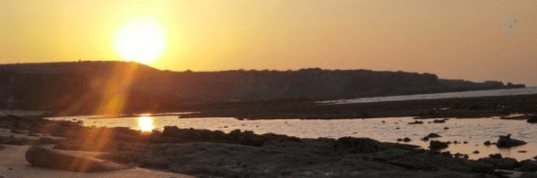 ‌رورآ‌'s header picture