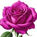 Profile picture of ‌ع. م ح‌