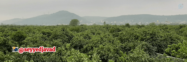 ‌سید جواد محمدی‌'s header picture