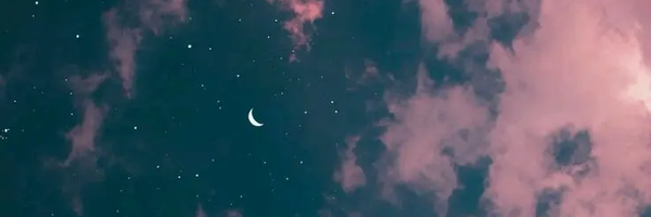 ‌Negar‌'s header picture