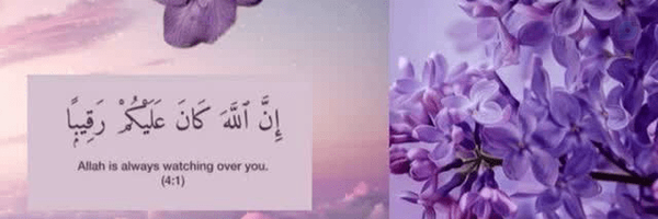 ‌فرشته تاجیک‌'s header picture