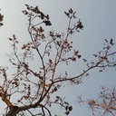 Profile picture of ‌. حاجی زاده‌