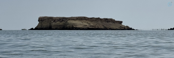‌محمد طرماحی‌'s header picture