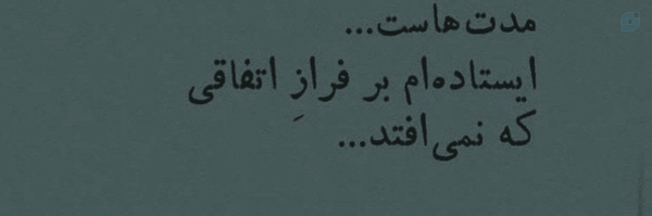 ‌زهـــرا 🌞‌'s header picture
