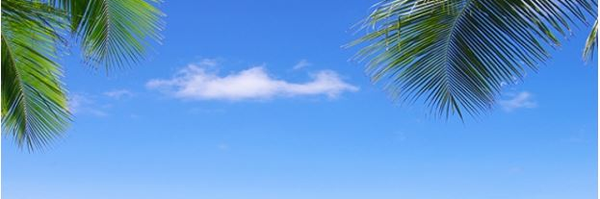 ‌محسن مهدی پور‌'s header picture