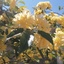 Profile picture of ‌برقکار حرفه‌ای 3‌
