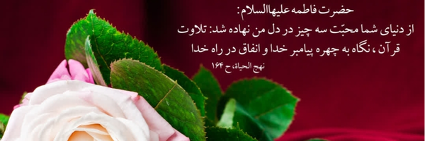 ‌آذر محمدی‌'s header picture