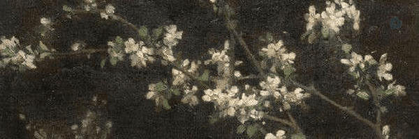 ‌El‌'s header picture