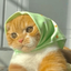 Profile picture of ‌نمک خانم‌