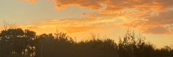 ‌محمد عباسی‌'s header picture