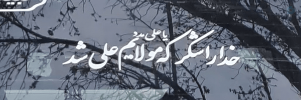 ‌سیده فائزه موسوی نژاد‌'s header picture
