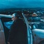 Profile picture of ‌مهدی سرباز انقلاب اسلامی‌