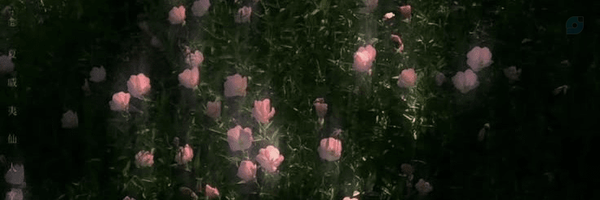 ‌توت فرنگی🍓‌'s header picture