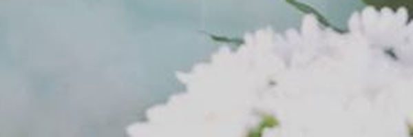 ‌یاس آفرینی‌'s header picture