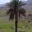 Profile picture of ‌حسین چمنی‌