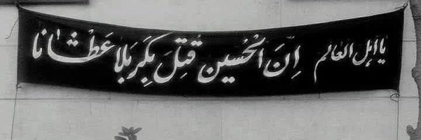 ‌ماهی نیلی‌'s header picture