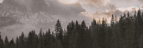 ‌Hannaneh‌'s header picture