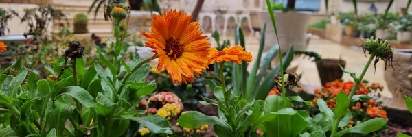 ‌یا مهدی ادرکنی‌'s header picture