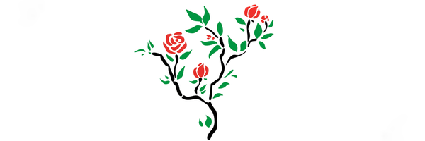 ‌Mester - A‌'s header picture
