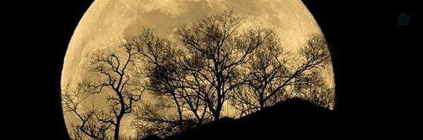 ‌آ.سد.بردیا‌'s header picture