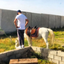 Profile picture of ‌Sam | سام‌
