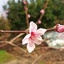Profile picture of ‌«زهره»‌