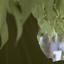 Profile picture of ‌•• شَهـیـده‍ گُمـنـام ••‌