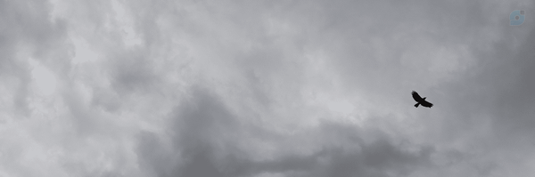 ‌Ghazal‌'s header picture
