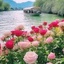 Profile picture of ‌یاس‌