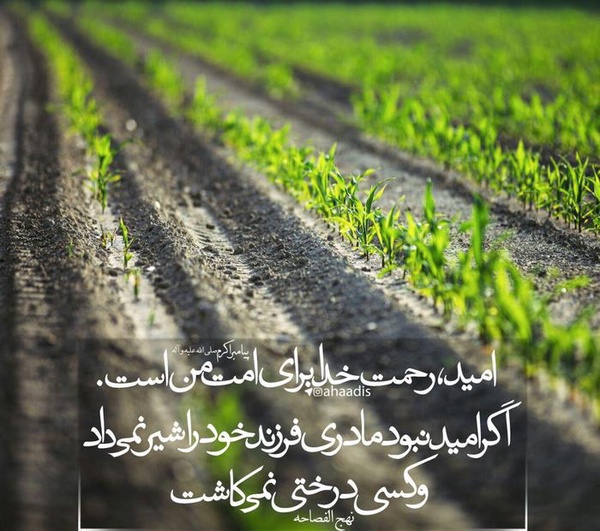 #امید
#حدیث
امید رحمت خداوند است
اگر امید نبود مادری فرزند خود را شیر نمی داد
وکسی درختی نمی کاشت
