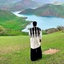 Profile picture of ‌Surena Bakhtiyari‌