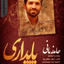 Paydari musicfeed