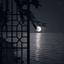 Profile picture of ‌Moon‌