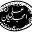 Profile picture of ‌Ali Amjadian 奕泽✅‌
