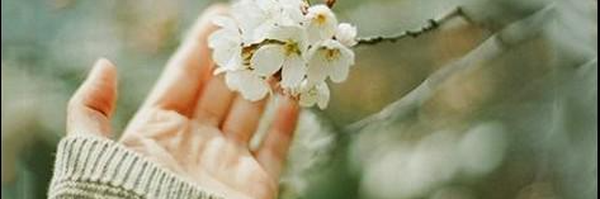 ‌م ترابی‌'s header picture