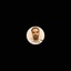 Profile picture of ‌حسن‌ رضازاده‌