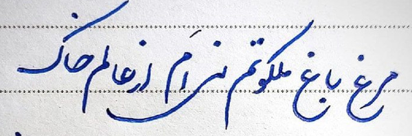 ‌جواد شریفات‌'s header picture