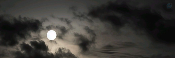 ‌Nima Amiri‌'s header picture
