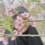 Profile picture of ‌gole yas‌